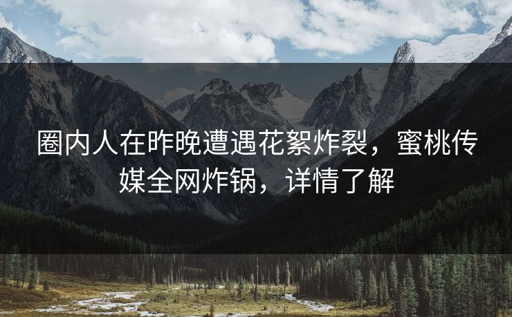 圈内人在昨晚遭遇花絮炸裂，蜜桃传媒全网炸锅，详情了解