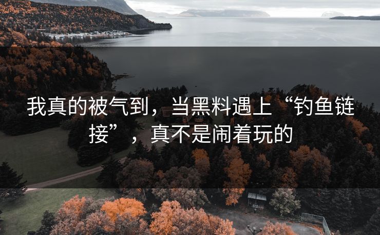 我真的被气到,当黑料遇上“钓鱼链接”,真不是闹着玩的 我真的被气到,当黑料遇上“钓鱼链接”,真不是闹着玩的