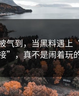 我真的被气到，当黑料遇上“钓鱼链接”，真不是闹着玩的