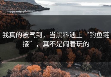 我真的被气到，当黑料遇上“钓鱼链接”，真不是闹着玩的