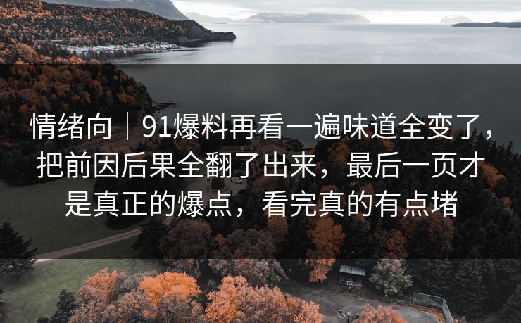 情绪向｜91爆料再看一遍味道全变了，把前因后果全翻了出来，最后一页才是真正的爆点，看完真的有点堵